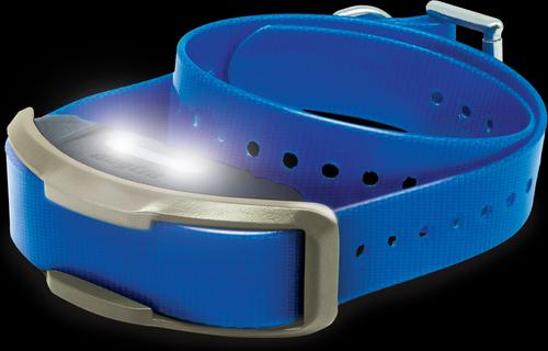 Show full view: Dogtra 1900X Additional Receiver IPX9K Waterproof Vibration & Tone Remote Dog Training Collar, 13 to 20-in neck, Blue slide 2 of 2