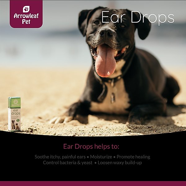 Show full view: Arrowleaf Pet by NaturPet Inc. Dog & Cat Ear Drops, 100-ml bottle slide 4 of 5