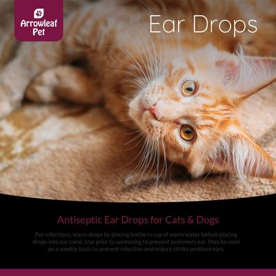 Show full view: Arrowleaf Pet by NaturPet Inc. Dog & Cat Ear Drops, 100-ml bottle slide 3 of 6