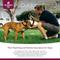 Show in main carousel: Arrowleaf Pet by NaturPet Inc. Outdoor Pest Protection & Coat Freshening Dog Spray, 240-ml bottle slide 2 of 6