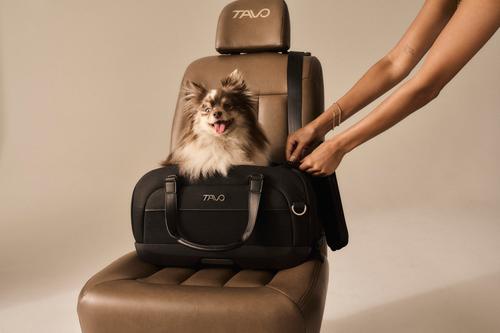 Show full view: Tavo Pets Dupree II Travel System Dog & Cat Stroller, Onyx slide 7 of 10
