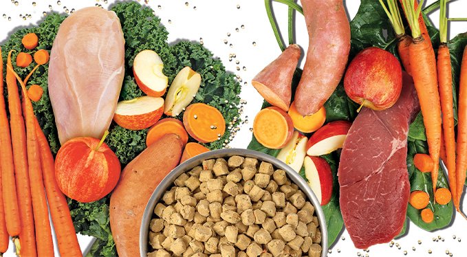 Primal Kibble in the Raw Beef Recipe Non-GMO Freeze-Dried Dog Food, 5.4-lb bag