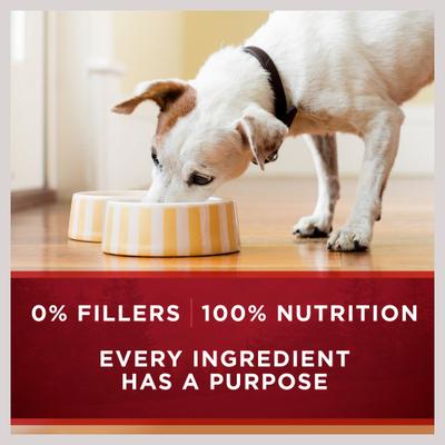 Show full view: Purina ONE SmartBlend Grain-Free True Instinct Classic Ground with Real Beef & Wild-Caught Salmon Canned Dog Food, 13-oz can, case of 4 slide 6 of 11
