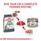 Show in main carousel: Royal Canin Feline Care Nutrition Digestive Care Loaf Pate Wet Cat Food, 5.1-oz can, case of 4 slide 7 of 12