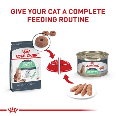 Show full view: Royal Canin Feline Care Nutrition Digestive Care Loaf Pate Wet Cat Food, 5.1-oz can, case of 4 slide 7 of 12