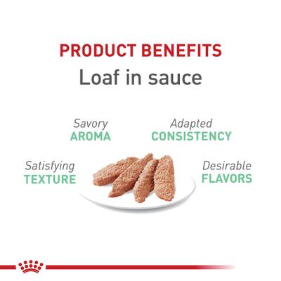 Show full view: Royal Canin Feline Care Nutrition Digestive Care Loaf Pate Wet Cat Food, 5.1-oz can, case of 4 slide 4 of 12