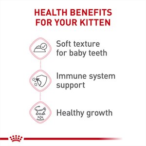 Royal Canin Feline Health Nutrition Kitten Loaf in Sauce Canned Cat Food, 3-oz, case of 4