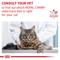 Show in main carousel: Royal Canin Veterinary Diet Adult Urinary SO Moderate Calorie Morsels in Gravy Canned Cat Food, 3-oz, case of 4 slide 8 of 13