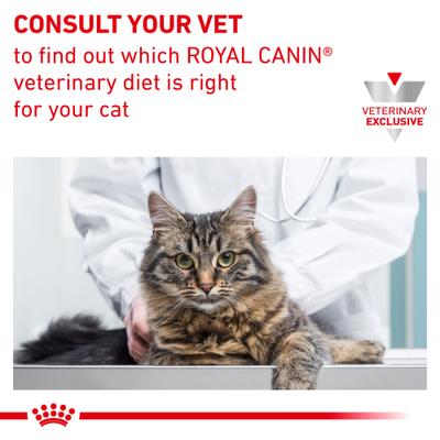 Show full view: Royal Canin Veterinary Diet Adult Urinary SO Moderate Calorie Morsels in Gravy Canned Cat Food, 3-oz, case of 4 slide 8 of 13