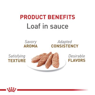 Show full view: Royal Canin Feline Health Nutrition Aging 12+ Loaf in Sauce Canned Cat Food, 5.1-oz, case of 4 slide 4 of 12