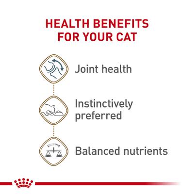 Show full view: Royal Canin Feline Health Nutrition Aging 12+ Loaf in Sauce Canned Cat Food, 5.1-oz, case of 4 slide 5 of 12