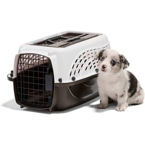Petmate Two Door Top Load Dog & Cat Kennel, White, 19 inches, up to 10-lbs