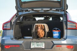 Petmate Vari Dog & Cat Kennel, Small slide 2 of 6