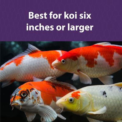 Show full view: Mazuri Koi Platinum Nuggets for Fish 6-12 Inches Food, 20-lb bag slide 5 of 9