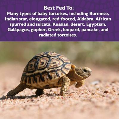 Show full view: Mazuri Juvenile Tortoise Diet Low Starch Food, 8-oz bag slide 6 of 10