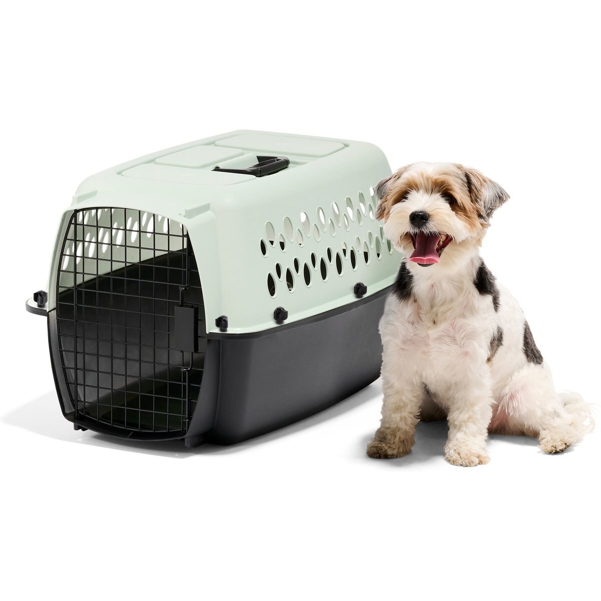 Aspen Pet Fashion Dog & Cat Kennel, Pale Blue, 24-in