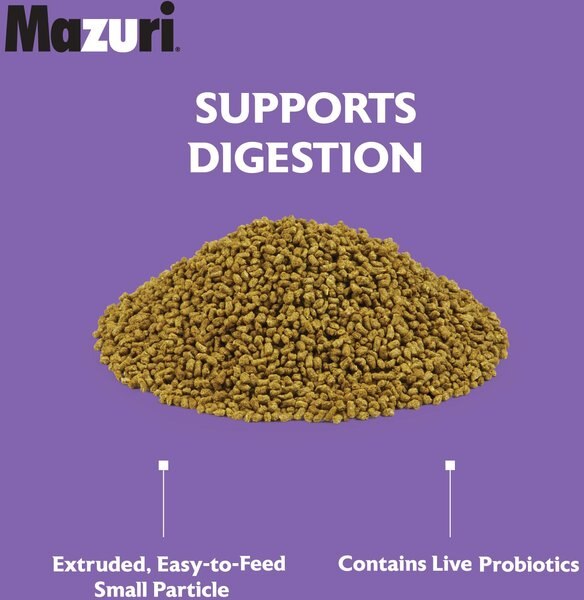 Mazuri Herbivorous Reptile Food