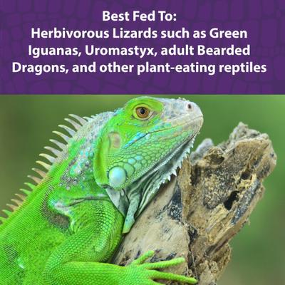Show full view: Mazuri Herbivorous Reptile Food, 8-oz bag slide 4 of 8