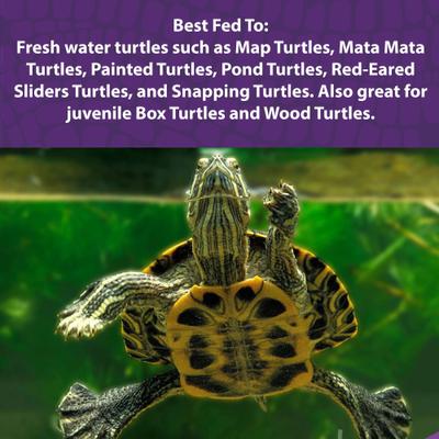Show full view: Mazuri Aquatic Turtle Food, 25-lb bag slide 5 of 10