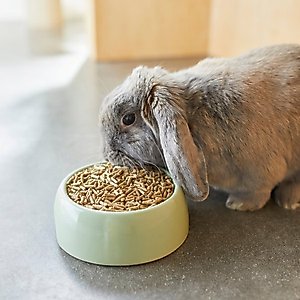 Mazuri Timothy Based Rabbit Food, 25-lb bag