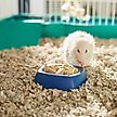 Show in main carousel: Mazuri Mouse & Rat Food, 25-lb bag slide 4 of 11