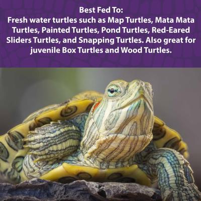 Show full view: Mazuri Aquatic Turtle Gel, 8-oz bag slide 6 of 10
