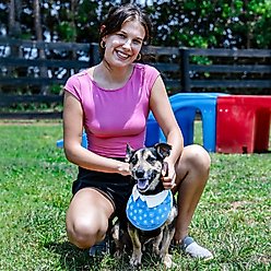 florence by mills Florence Woven Dog Bib, Blue, Large/X-Large