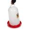 Show in main carousel: Little Giant Poultry Drinker, 3-gal slide 5 of 8
