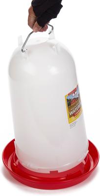 Show full view: Little Giant Poultry Drinker, 3-gal slide 5 of 8