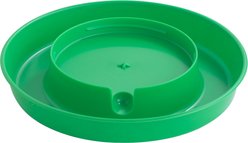 Little Giant Plastic Poultry Fount, 1-gal, Lime Green slide 2 of 3