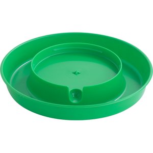 Little Giant Plastic Poultry Fount, 1-gal, Lime Green