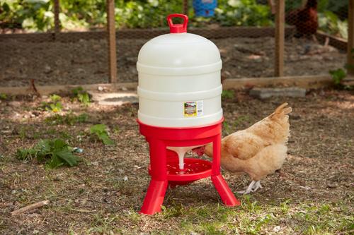 Show full view: Little Giant Dome Poultry Waterer, 10-gal slide 4 of 5