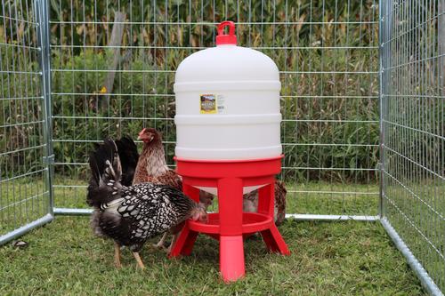 Show full view: Little Giant Dome Poultry Waterer, 10-gal slide 3 of 5