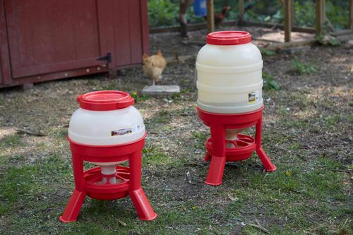 Show full view: Little Giant Dome Poultry Feeder, 60-lb slide 5 of 6