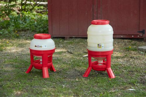 Show full view: Little Giant Dome Poultry Feeder, 60-lb slide 3 of 6
