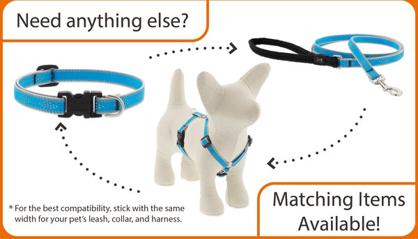 Show full view: LupinePet Reflective Diamonds Dog Collar, Orange Diamond, X-Small: 8 to 12-in neck, 1/2-in wide slide 4 of 5