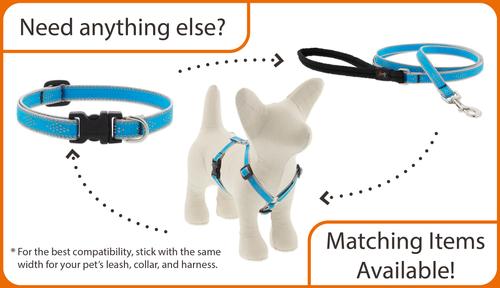 Show full view: LupinePet Reflective Diamonds Dog Collar, Pink Diamond, Small: 10 to 16-in neck, 1/2-in wide slide 5 of 6