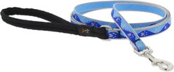 LupinePet Reflective Paws Small Dog & Cat Padded Handle Leash, Blue Paws, Regular: 6-ft long, 1/2-in wide