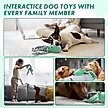 Show in main carousel: Nocciola Viral Select Octopus Squeaky Plush Dog Toy, Green slide 8 of 9