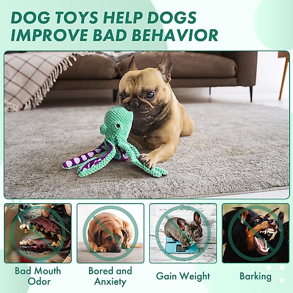 Show full view: Nocciola Viral Select Octopus Squeaky Plush Dog Toy, Green slide 5 of 9