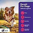 Show in main carousel: Revolt Topical Solution for Dogs, 40.1-85 lbs, (Teal Box), 6 Doses (6-mos. supply) slide 5 of 8