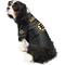 Show in main carousel: Littlearth NHL Stretch Dog & Cat Jersey, Boston Bruins, Medium slide 2 of 7