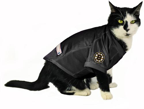 Show full view: Littlearth NHL Stretch Dog & Cat Jersey, Boston Bruins, Medium slide 4 of 7