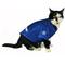 Show in main carousel: Littlearth NHL Stretch Dog & Cat Jersey, Tampa Bay Lightning, X-Large slide 5 of 8