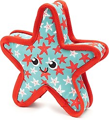 The Worthy Dog Starfish Squeaky Plush Dog Toy, Turquoise slide 2 of 3