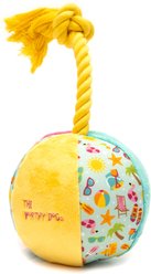 The Worthy Dog Life's a Beach Squeaky Plush Dog Toy, Mint Green