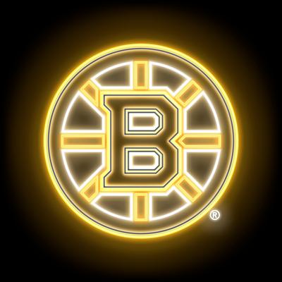 Show full view: Littlearth NHL Neon Cat & Dog T-Shirt, Large, Boston Bruins slide 4 of 6