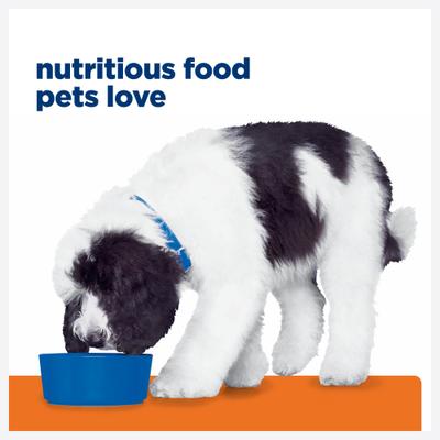 Show full view: Hill's Prescription Diet c/d Multicare Urinary Care Chicken & Vegetable Stew Wet Dog Food, 5.5-oz can, case of 4 slide 8 of 12