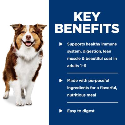 Show full view: Hill's Science Diet Adult Healthy Cuisine Roasted Chicken, Carrots & Spinach Stew Wet Dog Food, 12.5-oz can, case of 4 slide 6 of 11