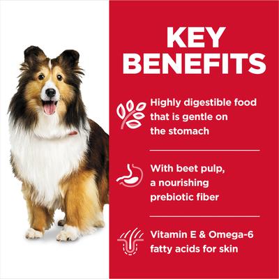 Show full view: Hill's Science Diet Adult Sensitive Stomach & Sensitive Skin Grain-Free Salmon & Vegetable Entree Wet Dog Food, 12.8-oz can, case of 4 slide 7 of 13